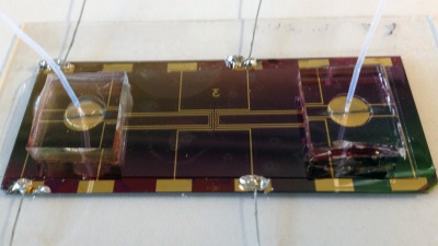 Researchers from Georgia Tech and Emory University have developed a new type of biomolecular tweezers that could help researchers study how mechanical forces affect the biochemical activity of cells and proteins. (Image courtesy of Lizhi Cao)