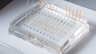 Close-up image shows a microfluidic chip used to fabricate nanoparticles that could be used to deliver therapeutic genes to specific organs of the body. Colored liquids have been added to highlight the channels. (Credit: Rob Felt, Georgia Tech)