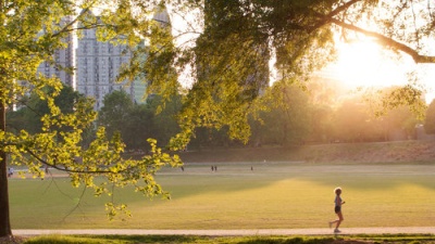 Runner in Peidmont Park at daybreak.