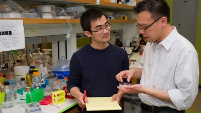 Researchers Yongzhi Qiu (left) and Wilbur Lam discuss their research on platelets. Lam is assistant professor in the Department of Pediatrics at Emory University School of Medicine and in the Wallace H. Coulter Department of Biomedical Engineering at Georgia Tech and Emory University. Qiu is a research associate in the Emory School of Medicine. (Credit: Rob Felt)