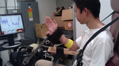 Participants were tasked with flexing their bicep muscles and maintaining that activation at a designated level while also extending their triceps and keeping them steady at a different level.