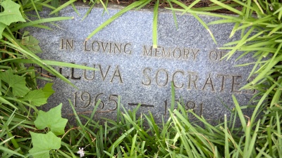 Socrates the dog is buried on the lawn of the Van Leer Building