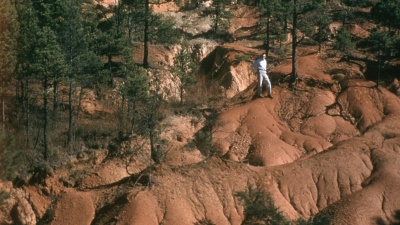 Landscape of the Calhoun Critical Zone Observatory in South Carolina in 1950, showing soil erosion resulting from intense agricultural practices. (Credit: U.S. Forest Service)
