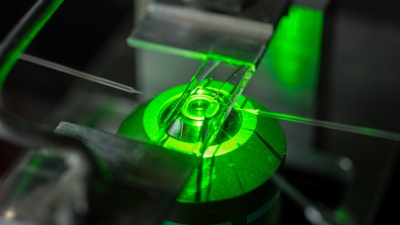Image shows the experimental chamber used for T-cell force research, with three glass micropipettes shown under green light illumination. (Georgia Tech Photo: Rob Felt)