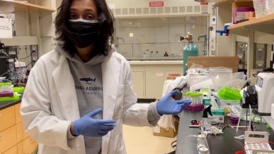 Mo Jarin, a doctoral student in Georgia Tech’s School of Civil and Environmental Engineering, is the 2022 winner of the Career, Research, and Innovation Development Conference’s Innovation Competition for her VoltaPure water disinfection technology.