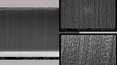 This montage includes images of carbon nanotube forests. New research explains why the CNT forests have less stiffness than expected. (Images courtesy of Justin Chow)