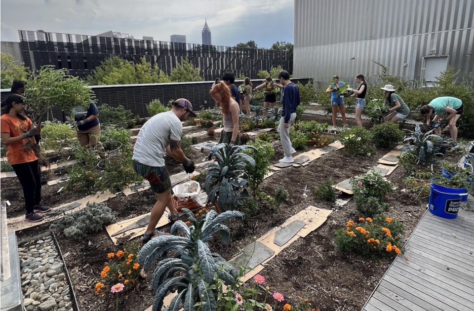 roofgarden2.jpg
