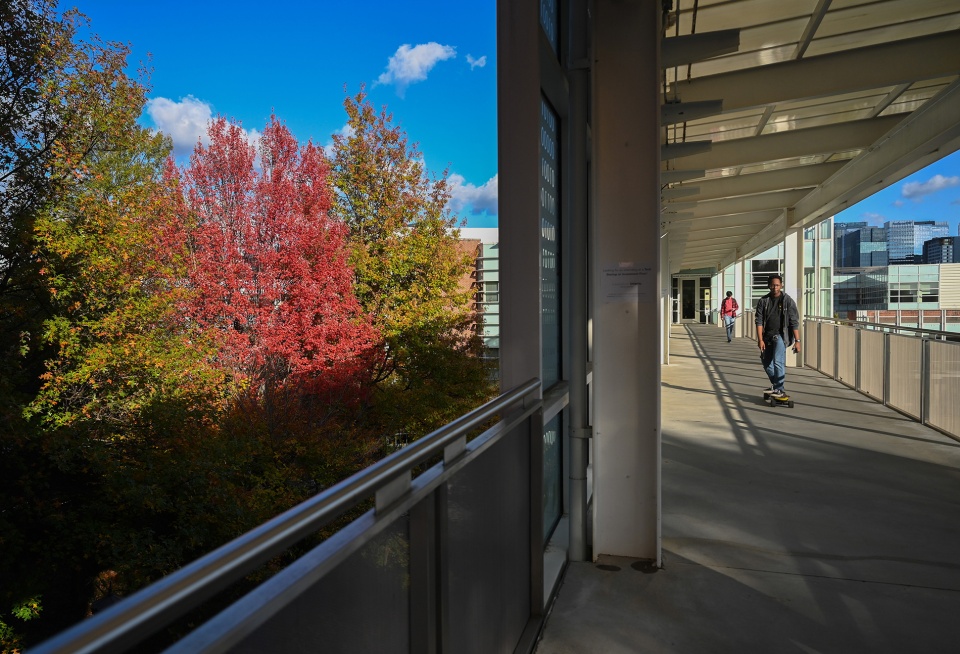 Students enjoy fall on campus