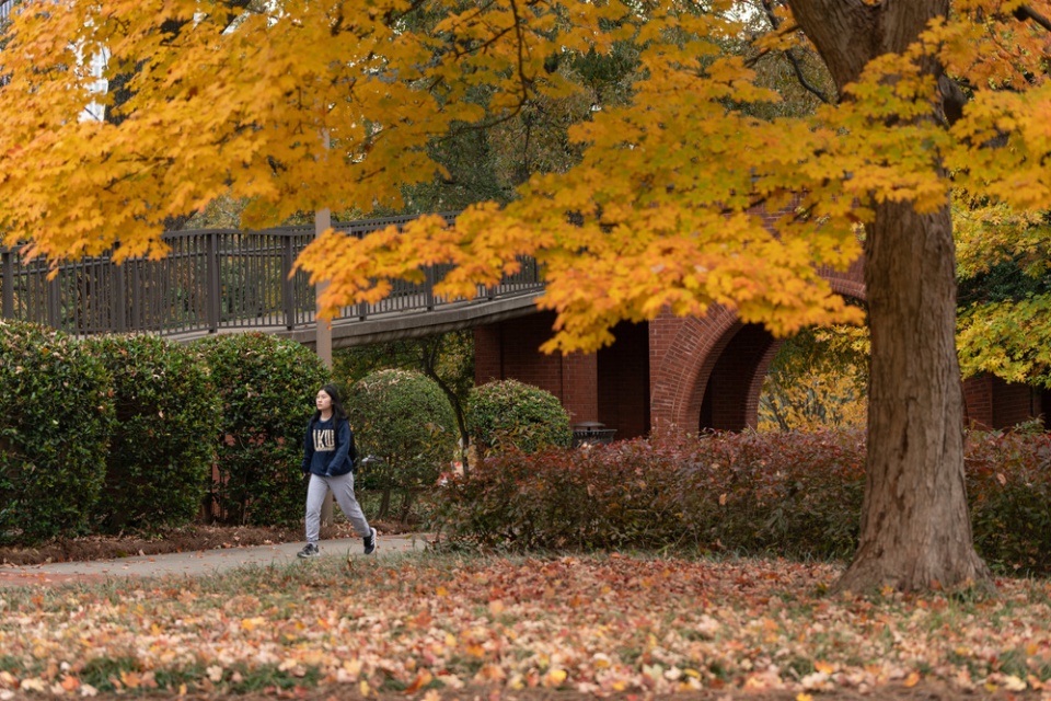 Student Walking on Campus Amid Fall Foliage