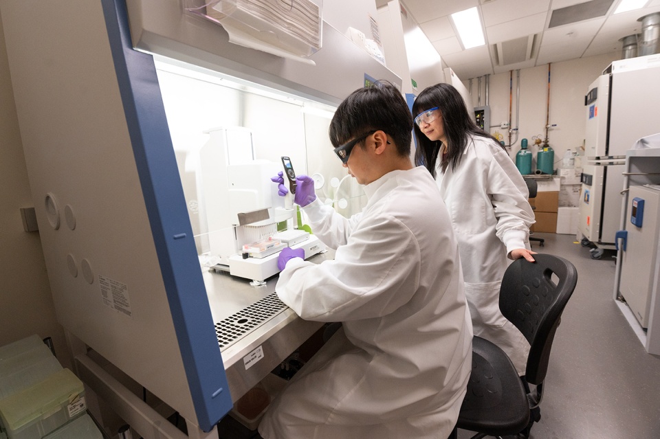 Researchers in Nga Lee (Sally) Ng's lab