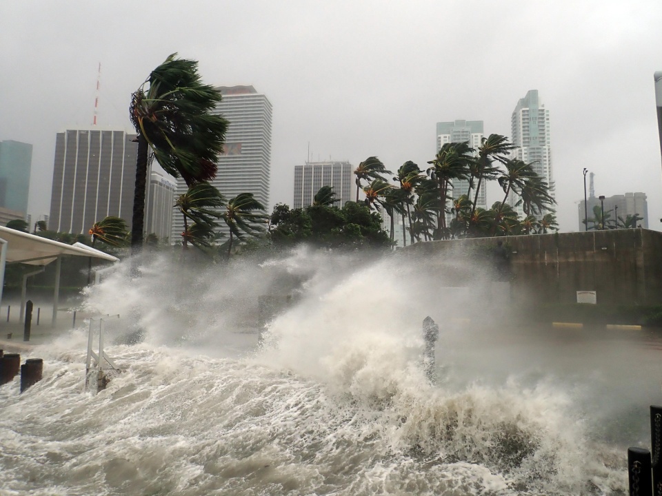 Hurricane Damage