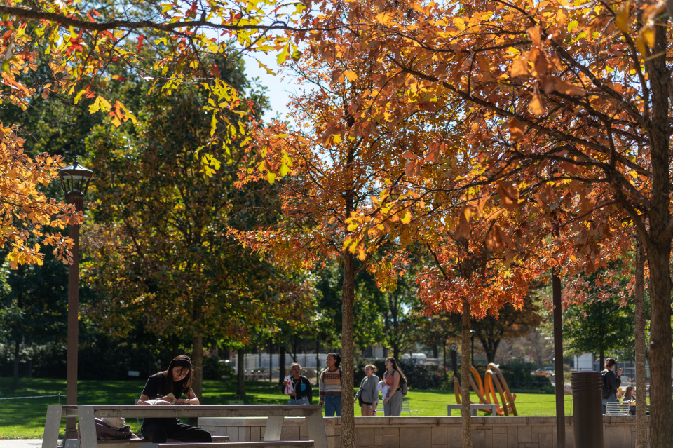 Leaves changing along Tech Walkway.