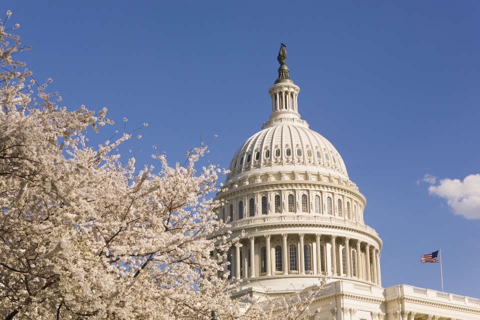 US-Capital-with-Cherry-Blossoms.jpg