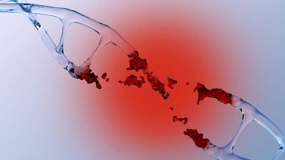 Double-strand breaks in DNA can be deadly