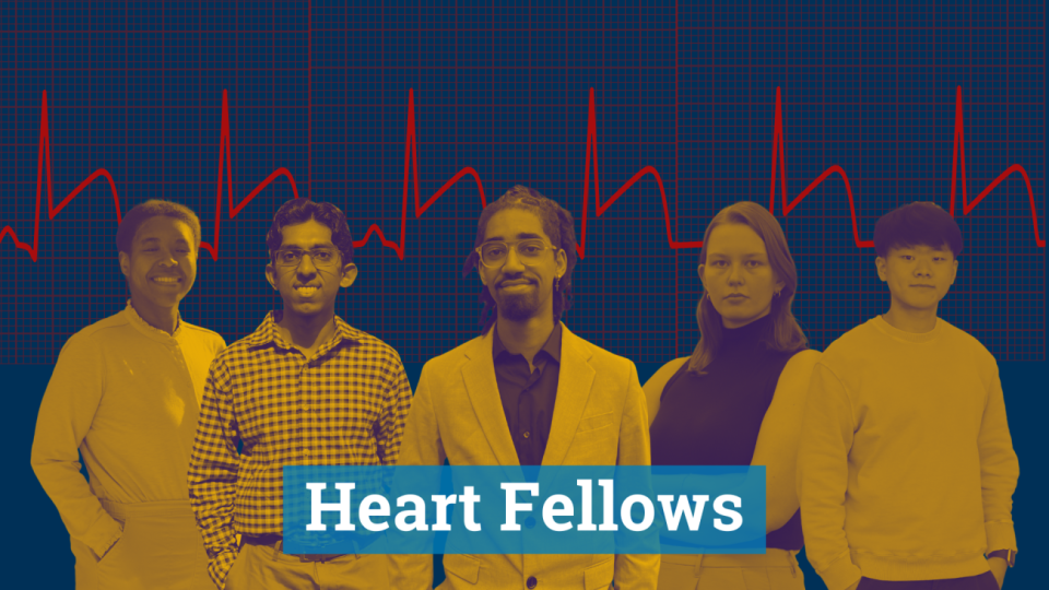 Heart Fellows