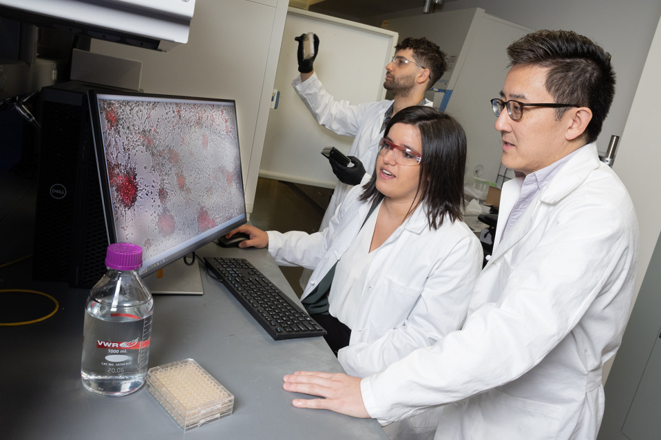 Cancer-target-synthetic-antigen-car-t-cell-therapy-3623-h.jpg