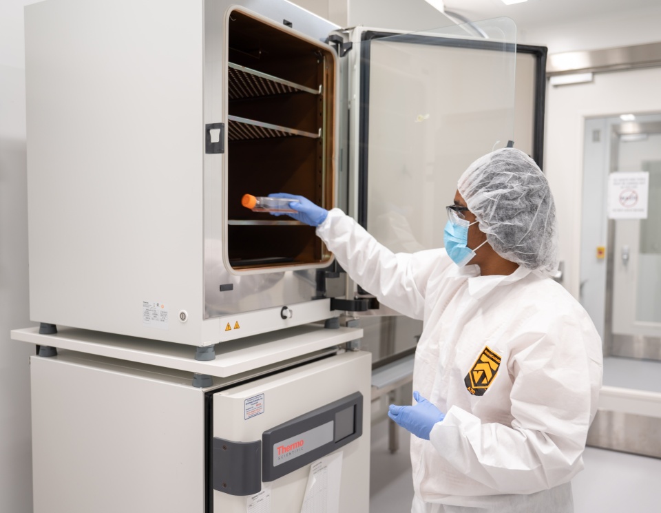A researcher in the Marcus Center of Excellence for Cell Biomanufacturing removes cultured cells from an incubator for further characterization and testing.