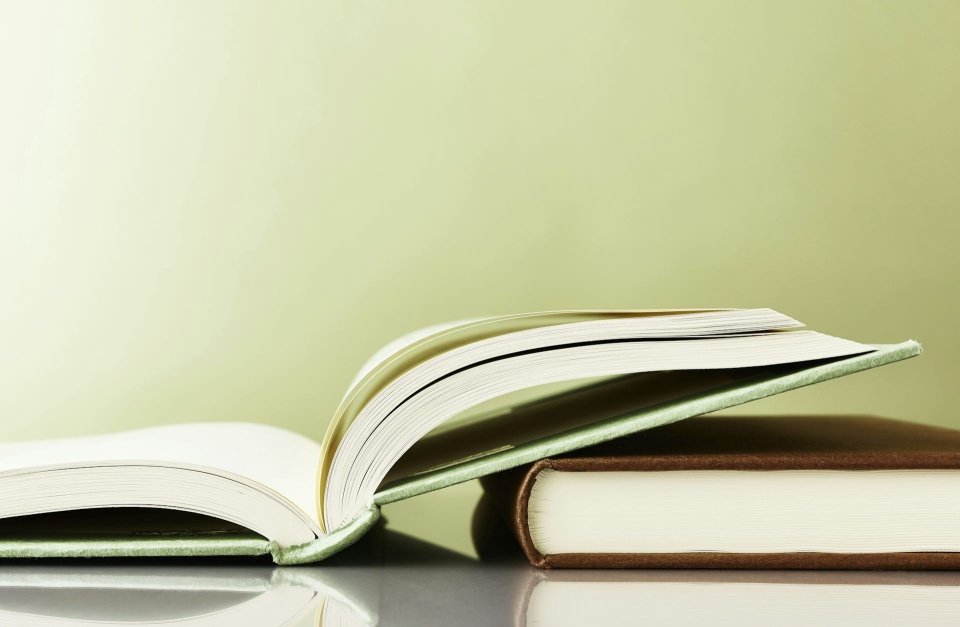 Open-source AI models allow anyone to read their inner workings like a book. Utamaru Kido/Moment via Getty Images