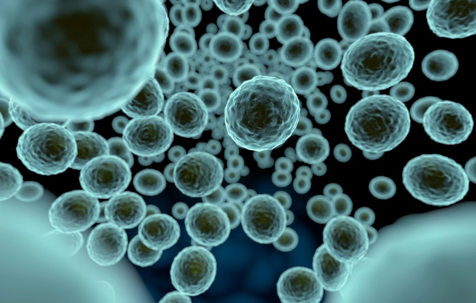Several space missions are searching for extraterrestrial life, which could come in the form of microbes