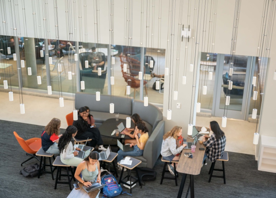 Students in Library