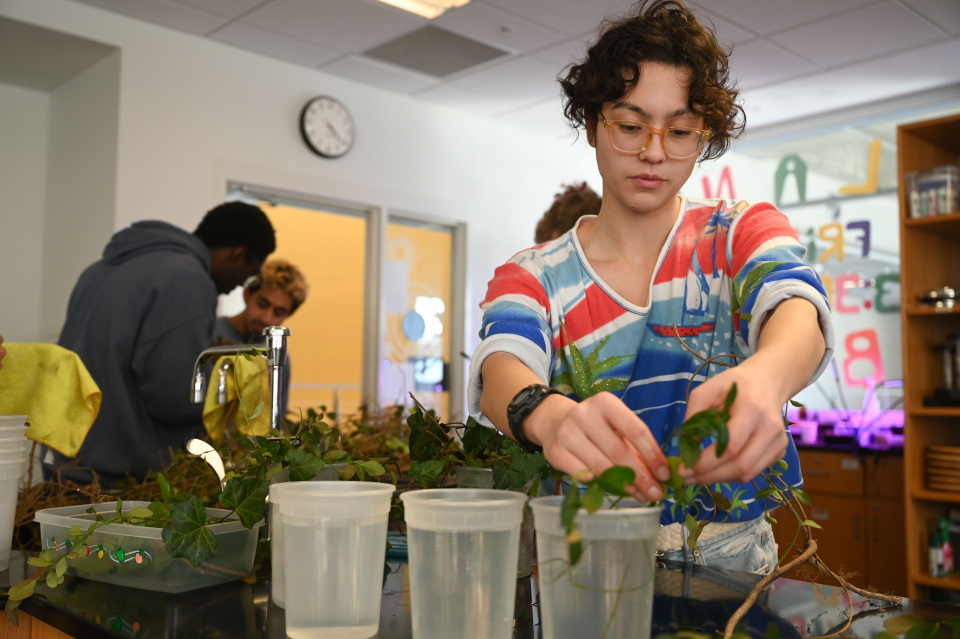 Students participate in the Plant Library