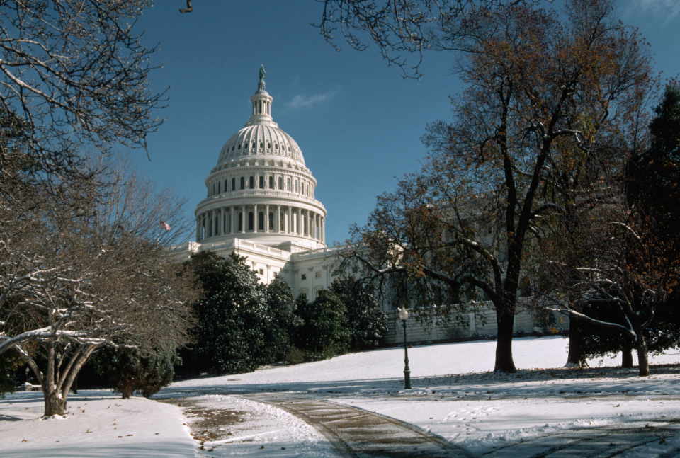 U.S Capital Building 